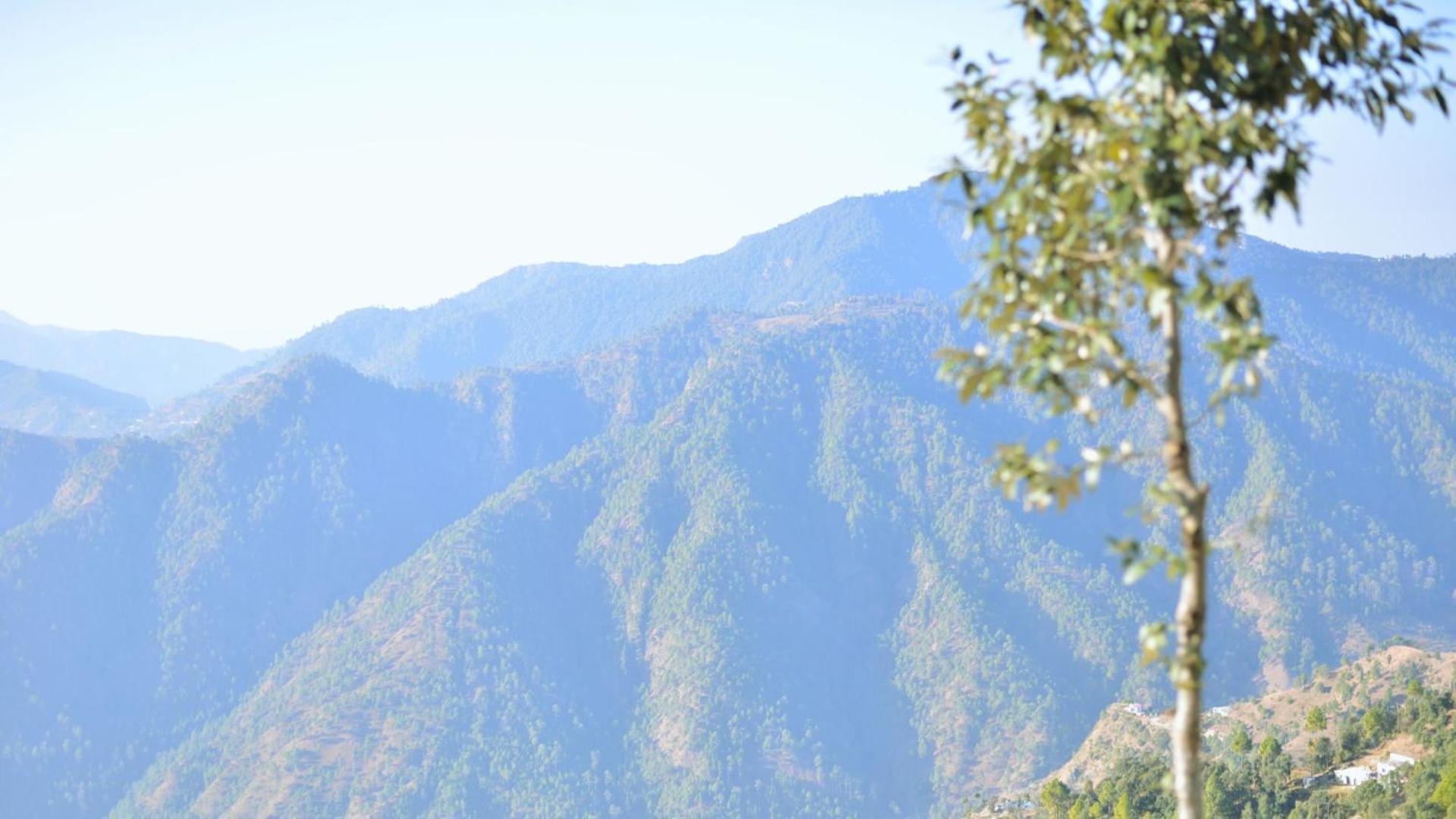 Haut Monde King'S Paradise Resort Kanatal Extérieur photo