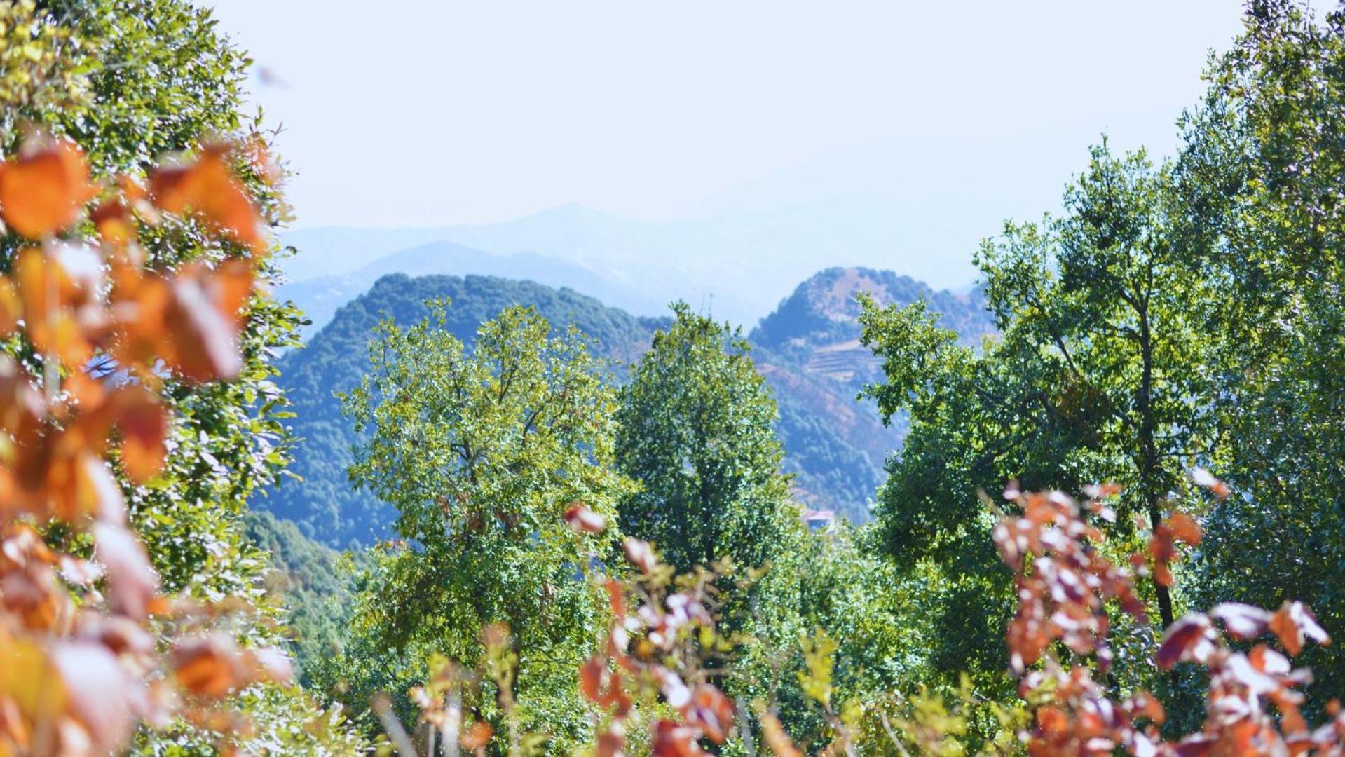 Haut Monde King'S Paradise Resort Kanatal Extérieur photo